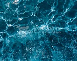 Лягушонок, академия детского плавания в Кемерово